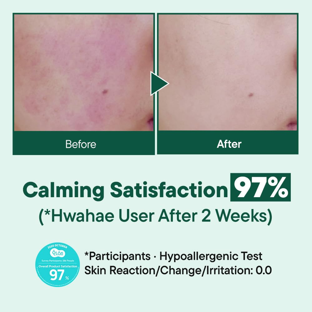 ONE-DAY’S YOU Help Me Dacto Pad