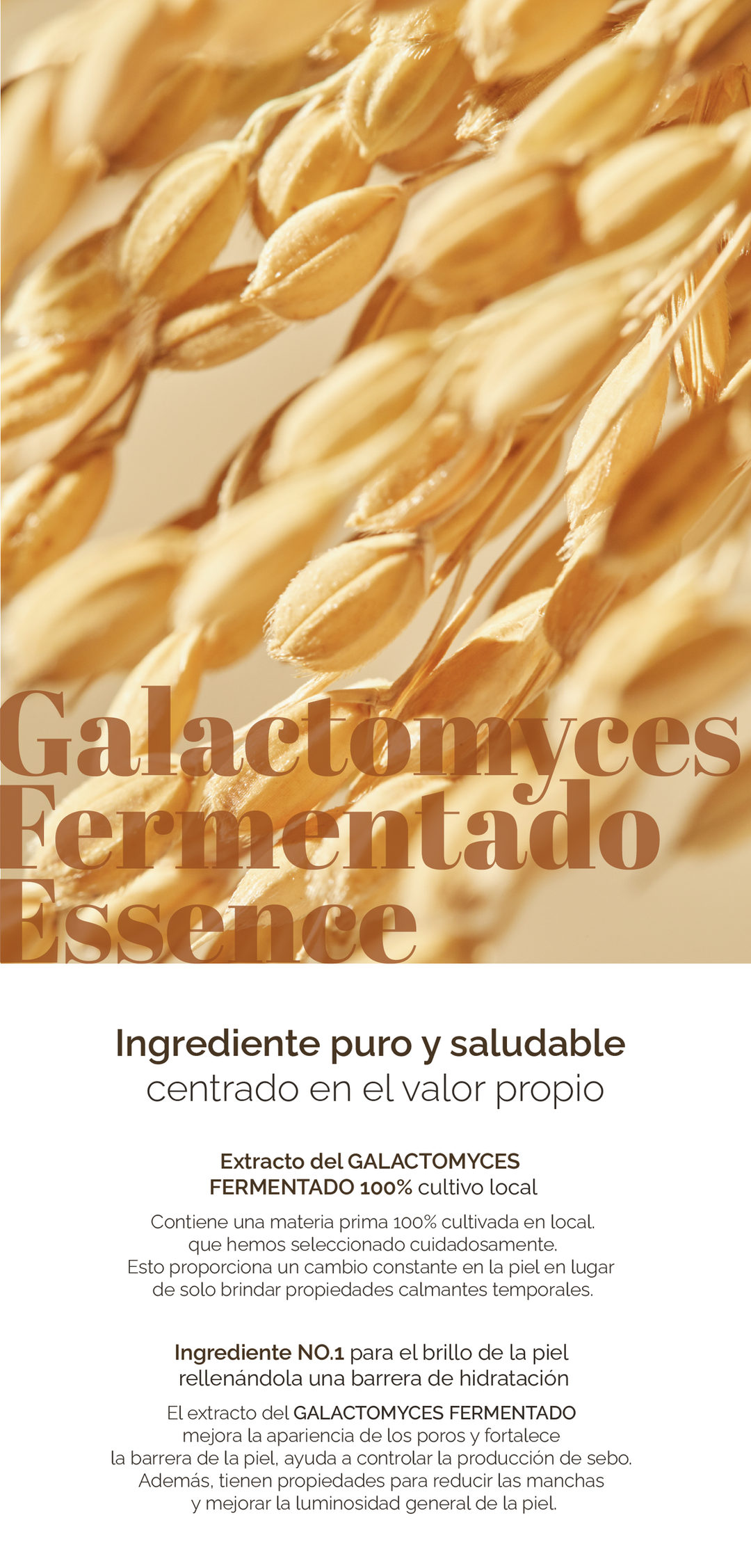 Mixsoon Galactomyces Essence