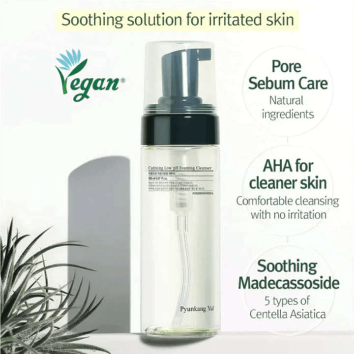 Pyunkang Yul - Calming Low pH Foaming Cleanser
