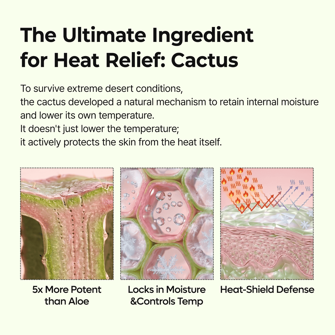 Dr.Melaxin Cactox Pore Relief Multi Balm